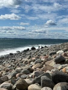 IMG_5281