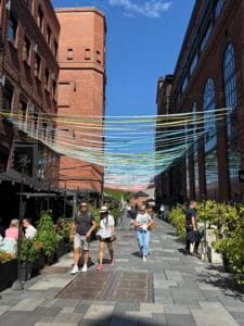 IMG_4542